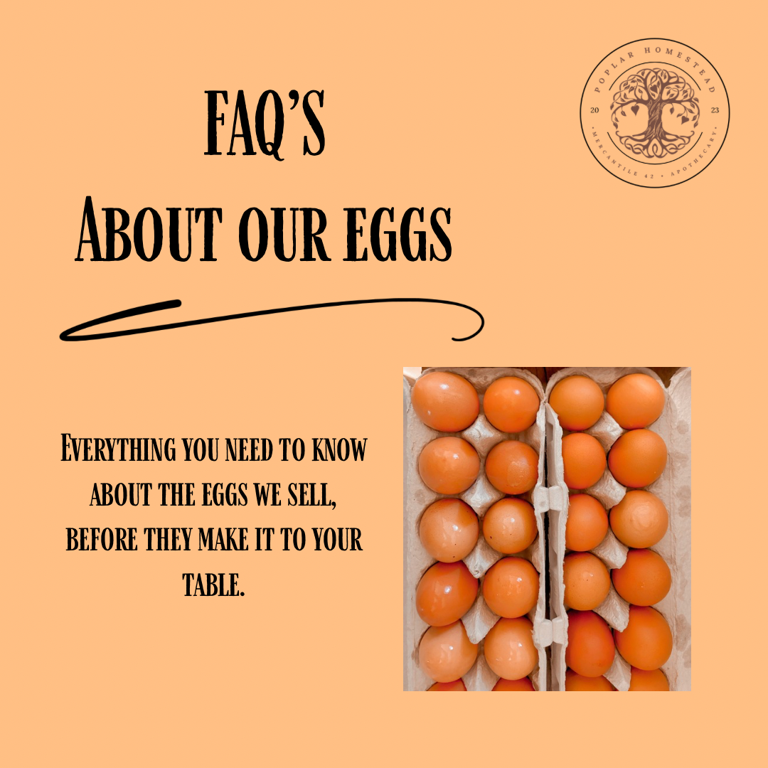 Farm Fresh Eggs