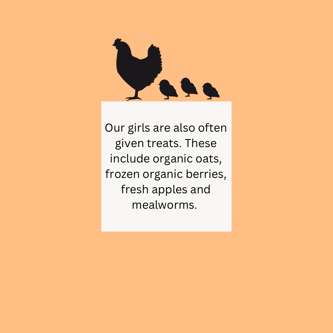Farm Fresh Eggs